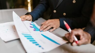 executive systems summary report