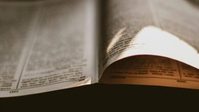 numerical data reference document